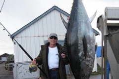 Catches