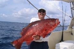 Braid-Products-Caught-Fish-100