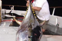 Braid-Products-Caught-Fish-101