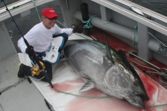 Braid-Products-Caught-Fish-105