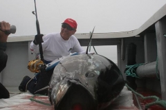 Braid-Products-Caught-Fish-107