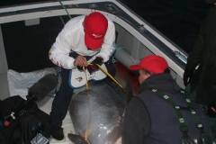 Braid-Products-Caught-Fish-110