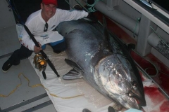 Braid-Products-Caught-Fish-111