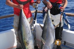 Braid-Products-Caught-Fish-2