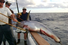 Braid-Products-Caught-Fish-27