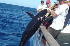 Braid-Products-Caught-Fish-29