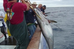 Braid-Products-Caught-Fish-44