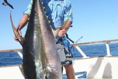 Braid-Products-Caught-Fish-57