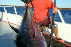 Braid-Products-Caught-Fish-62
