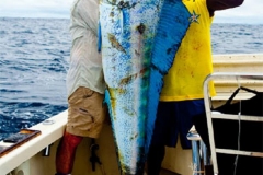 Braid-Products-Caught-Fish-87