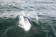 Braid-Product-Offshore-Fishing-14