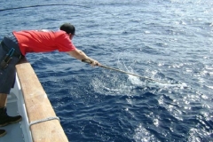 Braid-Product-Offshore-Fishing-54