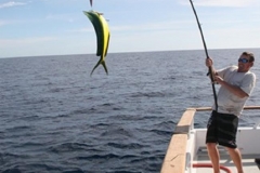 Braid-Product-Offshore-Fishing-6