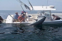 Braid-Product-Offshore-Fishing-60