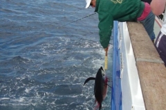 Braid-Product-Offshore-Fishing-66