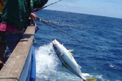 Braid-Product-Offshore-Fishing-67