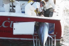 Braid-Product-Offshore-Fishing-69