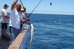 Braid-Product-Offshore-Fishing-75