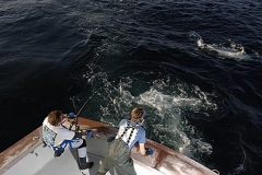 Braid-Product-Offshore-Fishing-76