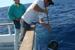 Braid-Product-Offshore-Fishing-88