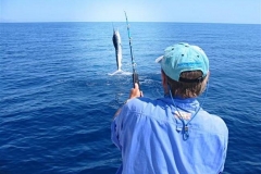 Braid-Product-Offshore-Fishing-89